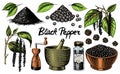 Black pepper set in Vintage style. Mortar and pestle, Allspice or peppercorn, Mill and dried seeds, a bunch of spices