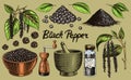 Black pepper set in Vintage style. Mortar and pestle, Allspice or peppercorn, Mill and dried seeds, a bunch of spices Royalty Free Stock Photo