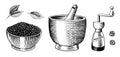 Black pepper set in Vintage style. Mortar and pestle, Allspice or peppercorn, Mill and dried seeds. Engraved hand drawn Royalty Free Stock Photo