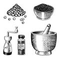 Black pepper set in Vintage style. Mortar and pestle, Allspice or peppercorn, Mill and dried seeds. Engraved hand drawn Royalty Free Stock Photo