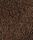 Black pepper spice background