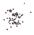 Black pepper on white background. Top view