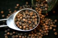 Black Peppercorn Royalty Free Stock Photo