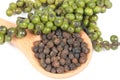 Black peppercorn raw dry