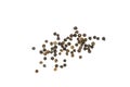 Black peppercorn seed spice isolated