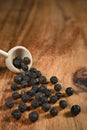 Black peppercorn small round spice