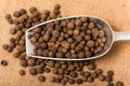 Black peppercorns Royalty Free Stock Photo