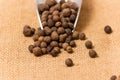 Black peppercorns Royalty Free Stock Photo