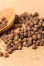 Black peppercorns Royalty Free Stock Photo