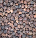 black peppercorns close up macro photo in a pile (pepper seeds, spices, flavoring) Royalty Free Stock Photo