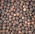 black peppercorns close up macro photo in a pile (pepper seeds, spices, flavoring) Royalty Free Stock Photo