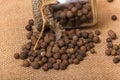 Black peppercorns in a jar Royalty Free Stock Photo