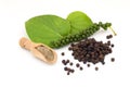 Black peppercorns scattered Royalty Free Stock Photo