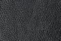 Black perforated leather texture background. Black Leather close up. Macro shot of shiny leather texture. Texture background. Royalty Free Stock Photo