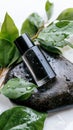Black perfume bottle on wet stone with fresh green leaves Royalty Free Stock Photo