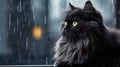 black Persian cat with thick and smooth fur, pure black and sweet sitting in a cage waiting for its owner to come home , Generate