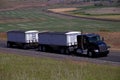 Black Peterbilt / Double Grain Trailers