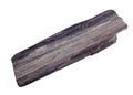 Black petrified wood. Visible well-preserved wood structure.