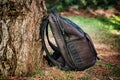 Black photography bag in the forest Royalty Free Stock Photo