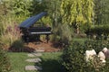 Black piano in the bushes in overgrown garden for outdoor concerts