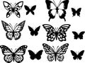 Black pictures of funny butterflies. Insect butterfly, winged gorgeous animal