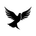 Black pigeon silhouette, dove of peace. Dove silhouette. Vector illustration black bird, isolated on white background Royalty Free Stock Photo