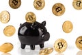 Black piggy bank with lots of bitcoins