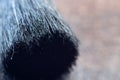 Black pile makeup brushes macro photo closeup