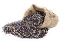 Black pile Rice in Gunny bag with white isolate background