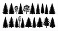 Black Pine and Spruce Tree Silhouette Set Forest Nature Elements for Vector Design Royalty Free Stock Photo