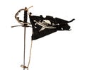 Waving pirate flag