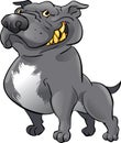 Black pitbull Royalty Free Stock Photo