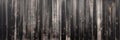 Black planks, Burnt wooden plank Royalty Free Stock Photo