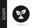 Black Plant based icon isolated on white background. Vector Royalty Free Stock Photo