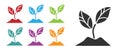 Black Plant icon isolated on white background. Seed and seedling. Leaves sign. Leaf nature. Set icons colorful. Vector Royalty Free Stock Photo