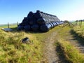 Livestock feed, silage, in black plastic bales