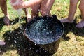 Black plastic bucket with fresh water with many kids legs playing summer games on a green grass meadow Royalty Free Stock Photo