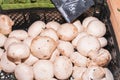 Black, plastic, carton, filled with freshly picked, local, mature , white cap mushrooms