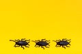 Black plastic cockroaches on a yellow cardboard background. Ready Halloween illustration