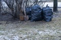 Black plastic garbage bags in the park, spring cleaning. Royalty Free Stock Photo