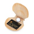 Black Plastic Golden Credit Card with Chip in Beauty Scallop Sea or Ocean Shell Seashell. 3d Rendering Royalty Free Stock Photo