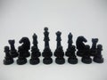 Black plastic king queen bishop knight rook pawn line up chess piece isolated on a white background Royalty Free Stock Photo