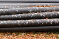 Black plastic sewer pipes. Pipes coated with bird droppings Royalty Free Stock Photo