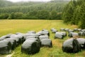 Black plastic wrap cover for cereal bales