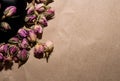 Black plate with Tea made from dried buds and petals of a purple damask rose on a paper background in the upper left corner Royalty Free Stock Photo