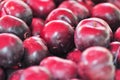 Black plums Royalty Free Stock Photo