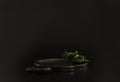 Black podium on the black background with tropical leaves and spa rocks. Podium for product, cosmetic presentation. Creative mock Royalty Free Stock Photo