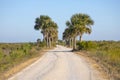 Black Point Drive, Merritt Island Wildlife Refuge Royalty Free Stock Photo