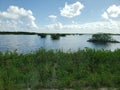 View at Black Point Wildlife Drive, Merritt Island National Wildlife Refuge, Florida Royalty Free Stock Photo