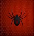 Black poisonous spider on red polygonal background. Dangerous insects. Vector